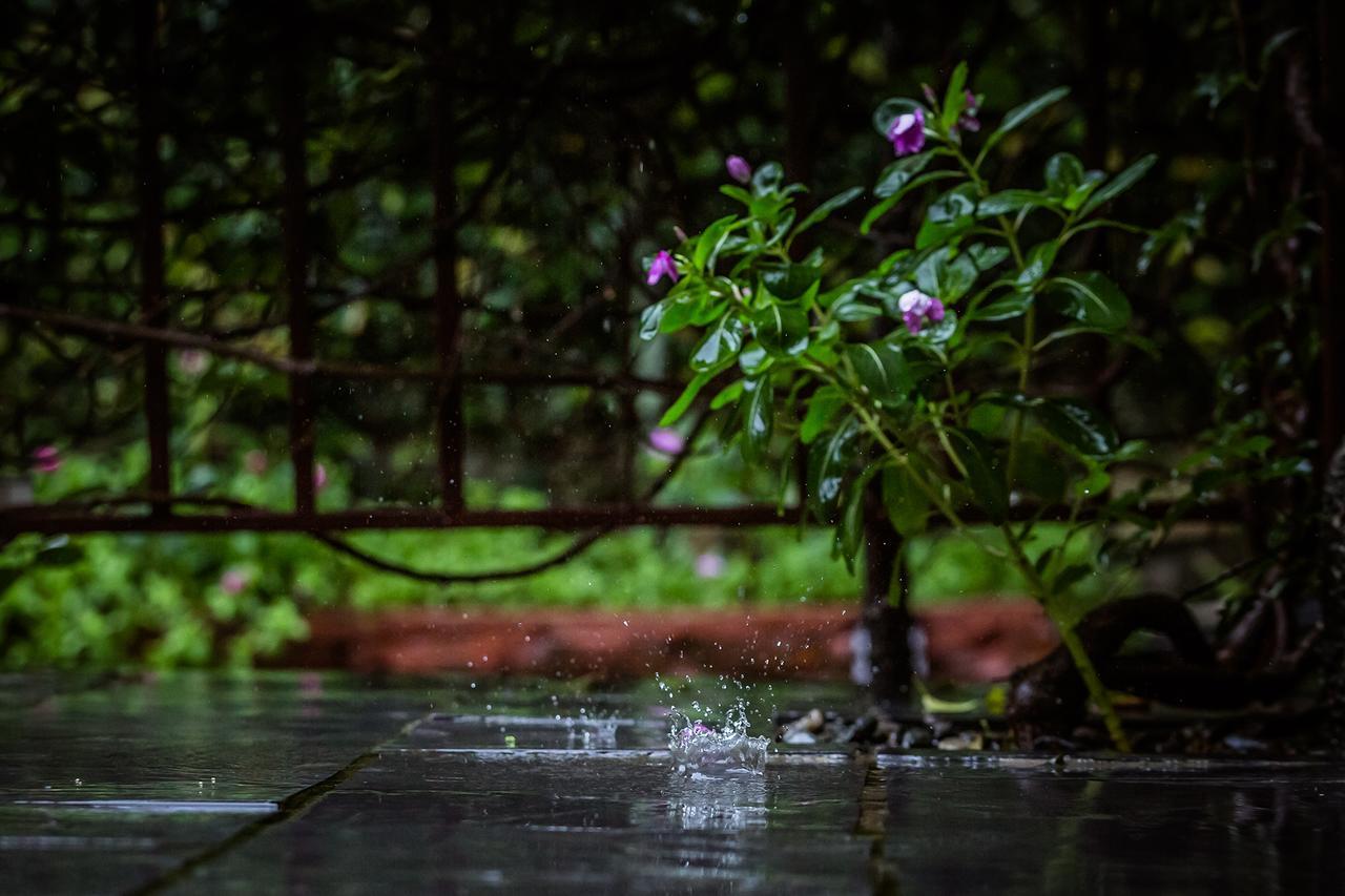 Mingtang Garden Cottage 名堂花园度假屋 Pokhara Extérieur photo