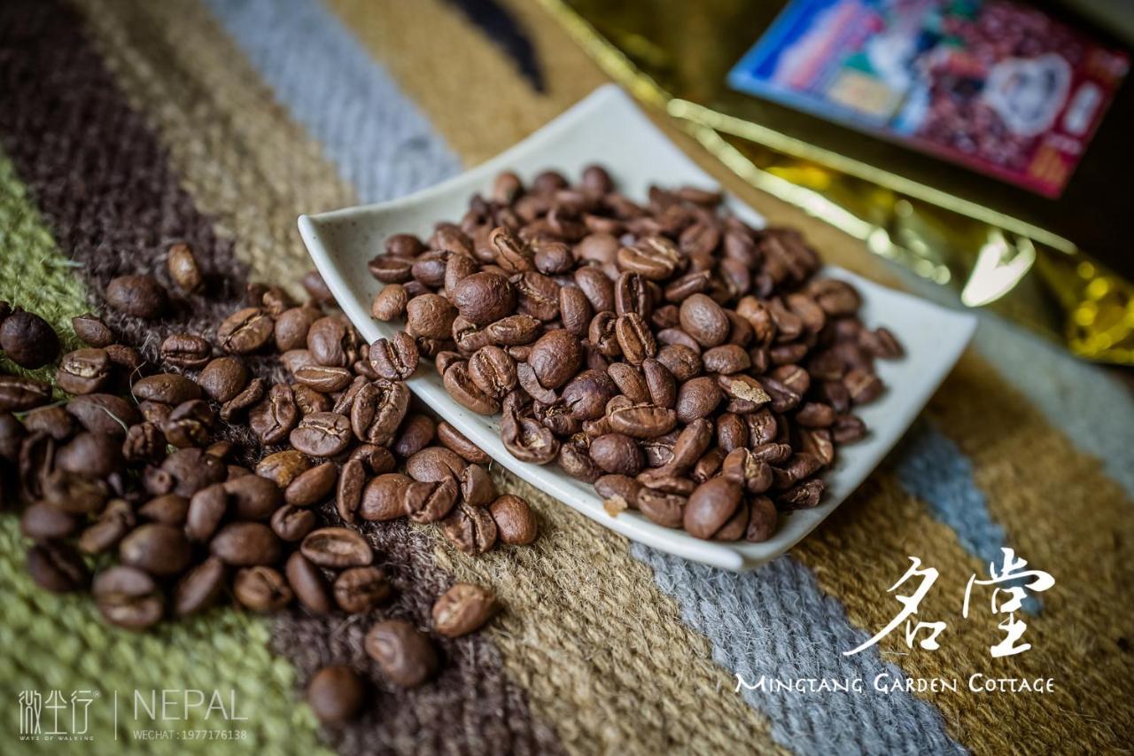 Mingtang Garden Cottage 名堂花园度假屋 Pokhara Extérieur photo